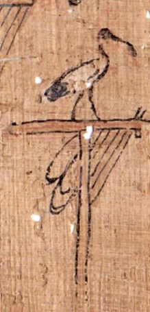 Incontri al Museo 2021 - 2022. Paola Boffula Alimeni presenta "Un tesoro unico al mondo nel Museo Archeologico Nazionale di Firenze: il Papiro con gli Stendardi del Museo Egizio"